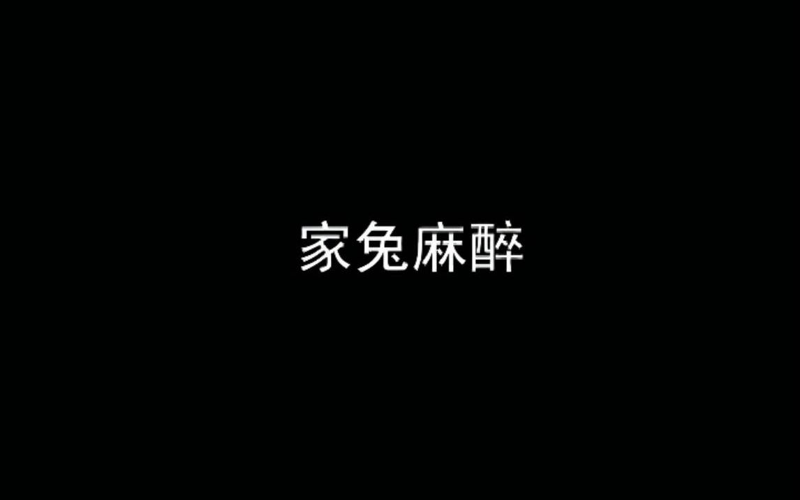 机能实验操作家兔麻醉哔哩哔哩bilibili