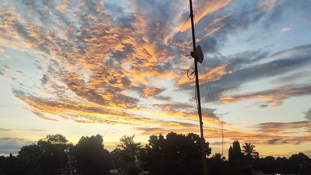 沒看見孫悟空