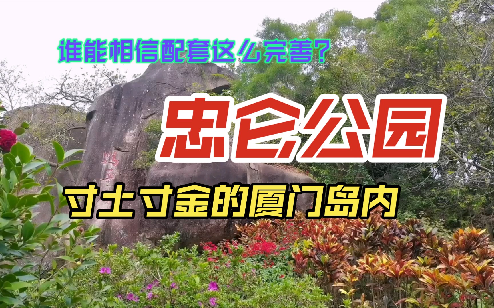 厦门岛内寸土寸金,社区的忠仑公园不但免费,竟然有雨林世界、儿童乐园还可以爬山锻炼身体,太幸福了!哔哩哔哩bilibili