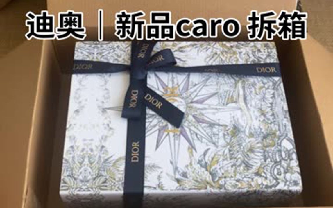 迪奥 | 新品 caro,好好看 每一个女孩子都要拥有!哔哩哔哩bilibili