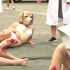 德国动保组织打扮成受伤的动物，抗议动物实验