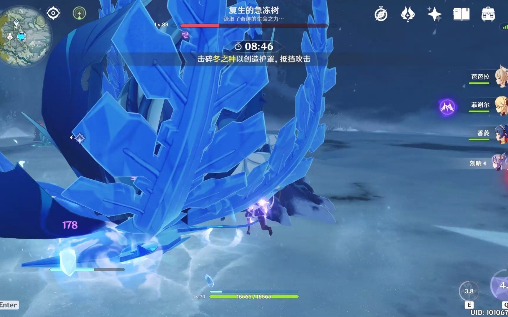 原神纯平民霜覆的奇迹之树两波