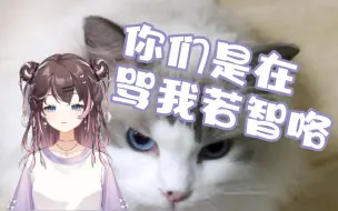 Download Video: 【紫苏九月】猫都比我聪明？生气了，下播！