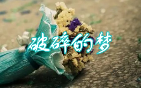 粤语经典老歌 破碎的梦 吉他弹唱