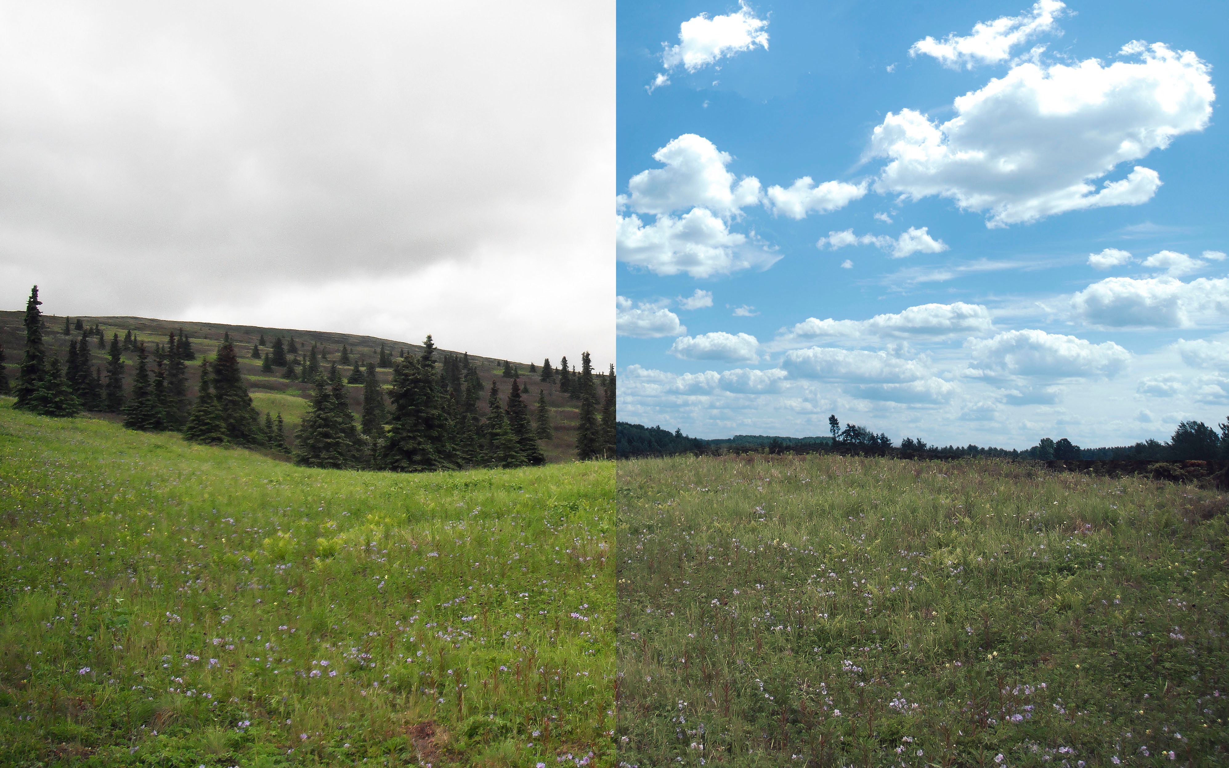 001-天空替换 ps教程,photoshop视频教程【psdart出品】