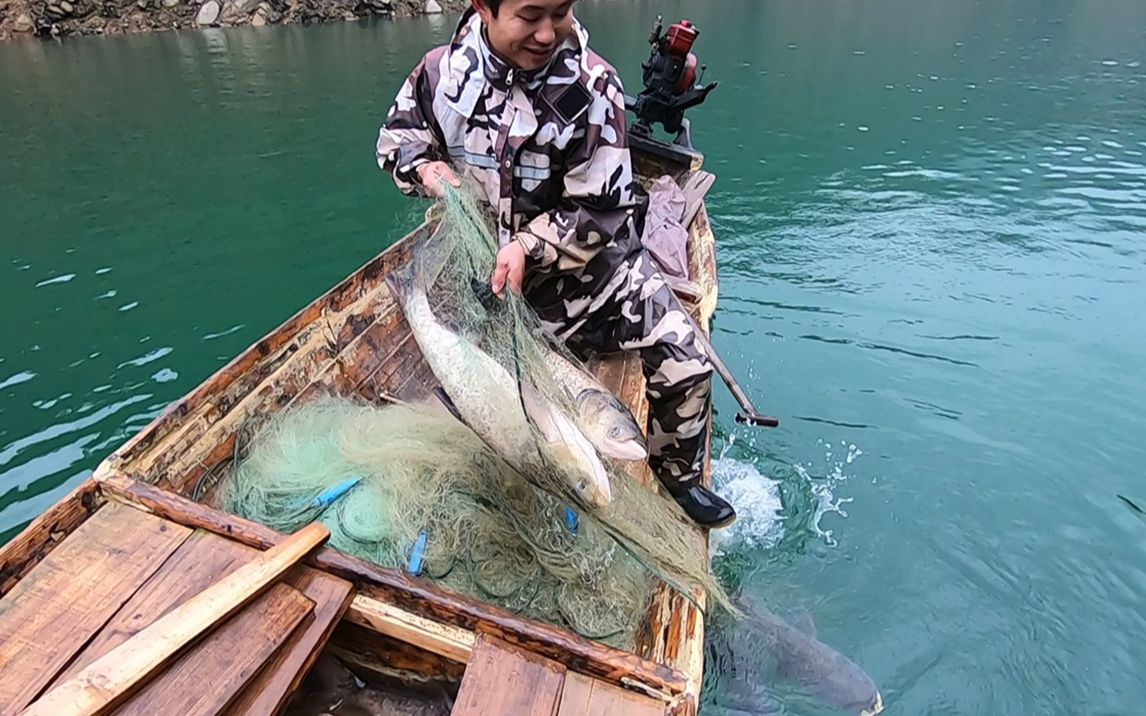 进进在不到十米宽的小港口拦网捕鱼,想不到也能疯狂上鱼,真过瘾