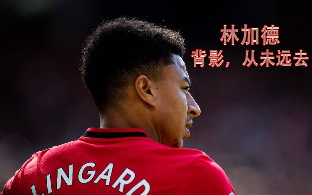 活动作品泪目向林加德特辑背影从未远去