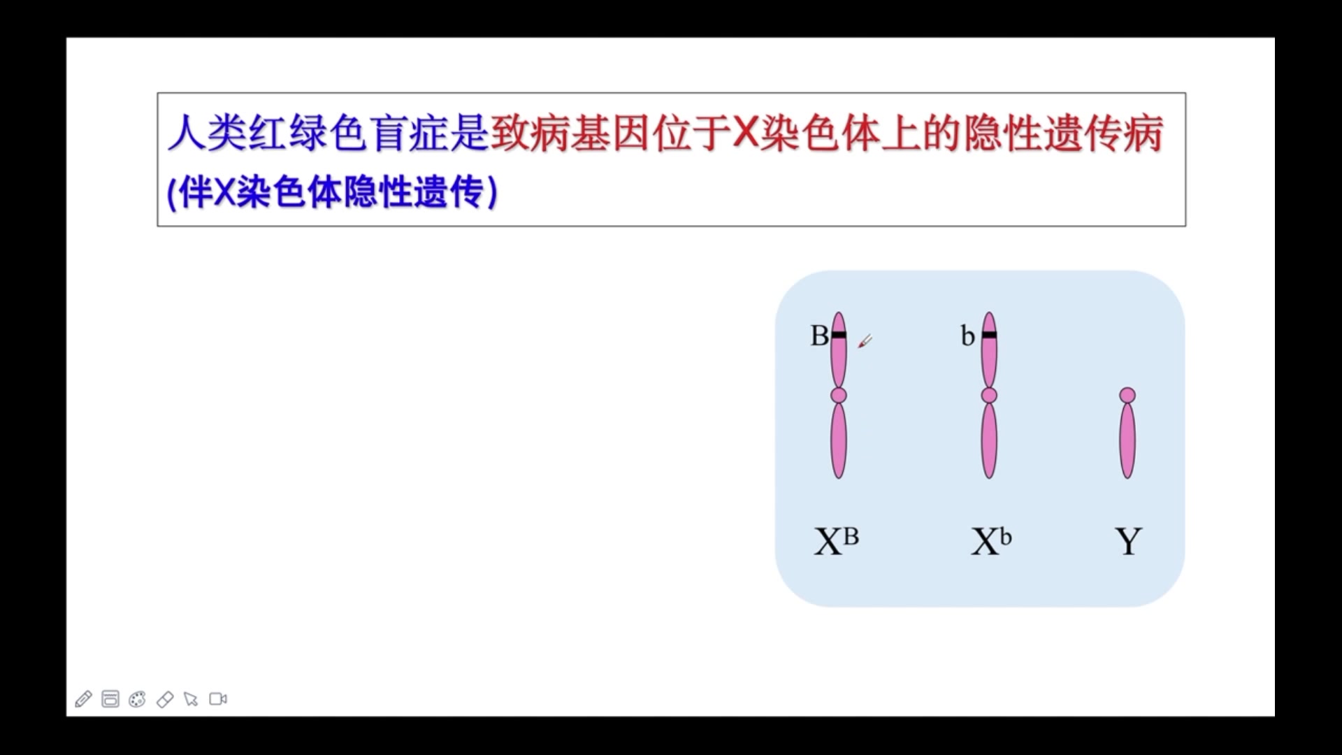 伴性遗传1哔哩哔哩bilibili