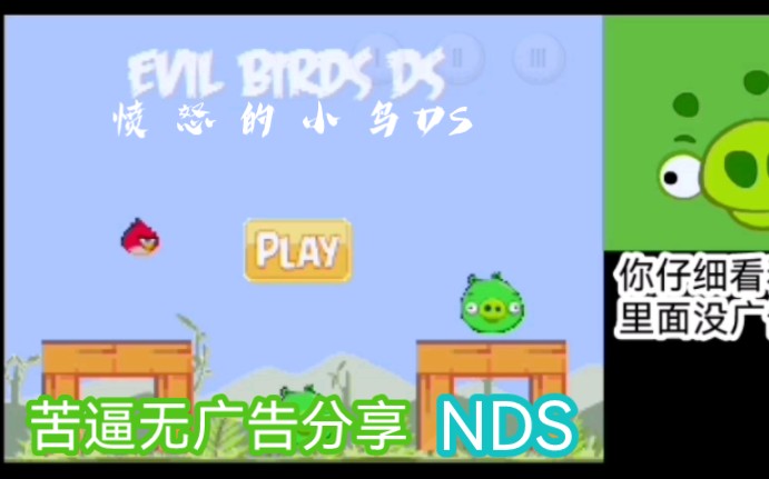 【苦逼分享/NDS】愤怒的小鸟DS 游玩+下载哔哩哔哩bilibili愤怒的小鸟