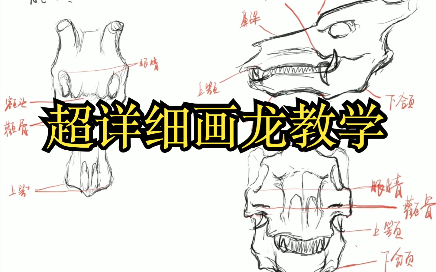 [图]你对龙的了解有多少？超详细画龙教学！