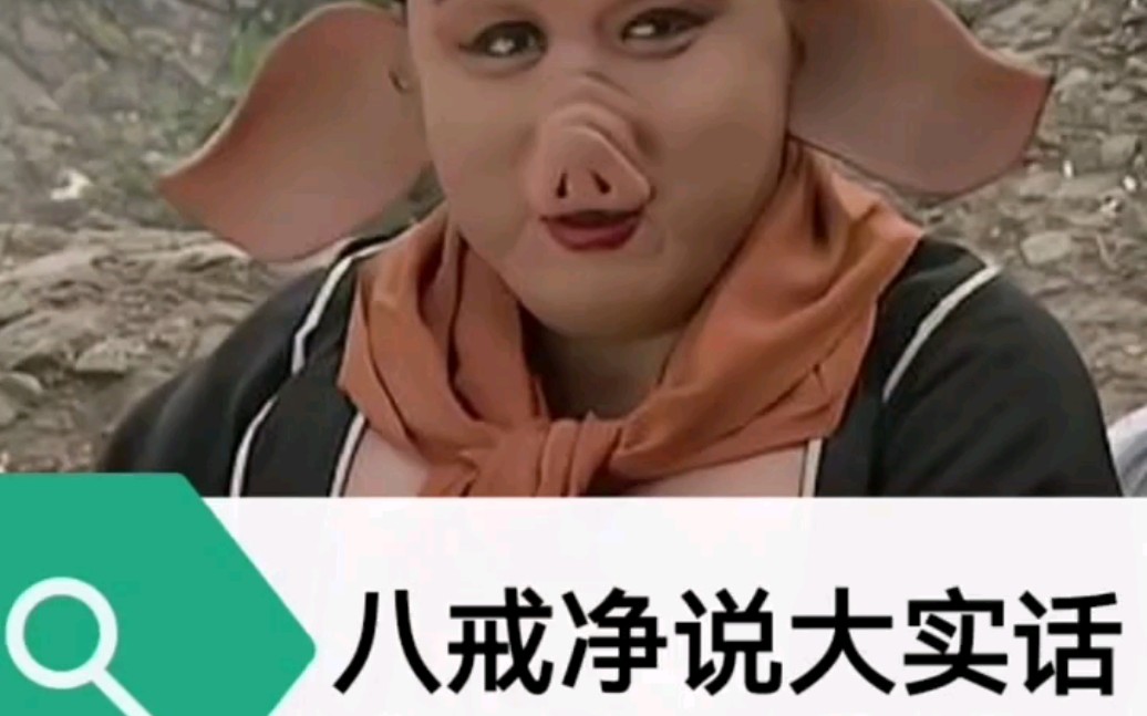 八戒八戒心肠不坏 B站