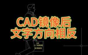 下载视频: CAD镜像后文字反了