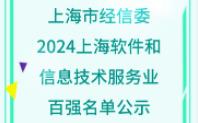 【上海市经信委】:“2024上海软件和信息技术服务业百强”、名单公示哔哩哔哩bilibili