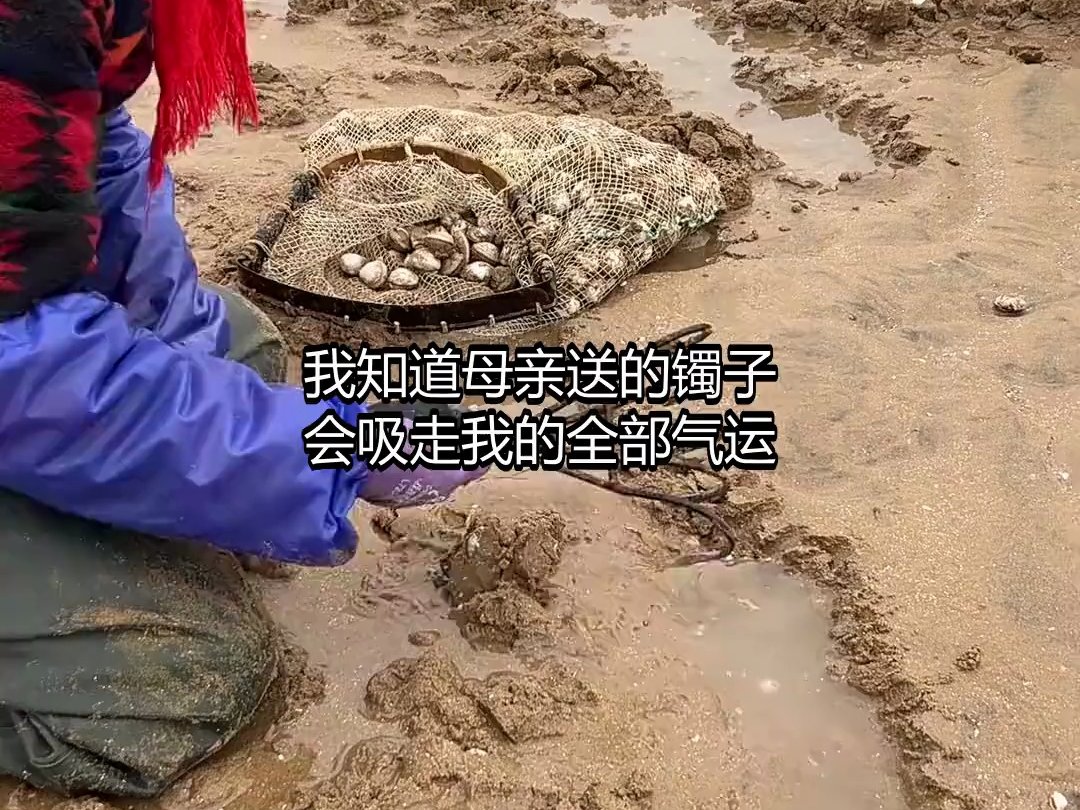 F瑜0817夺我气运十年？重生后我调换子母玉镯，庶妹当场枯萎1