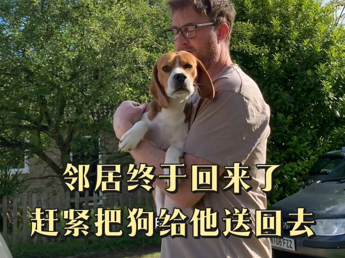 比格可真难养