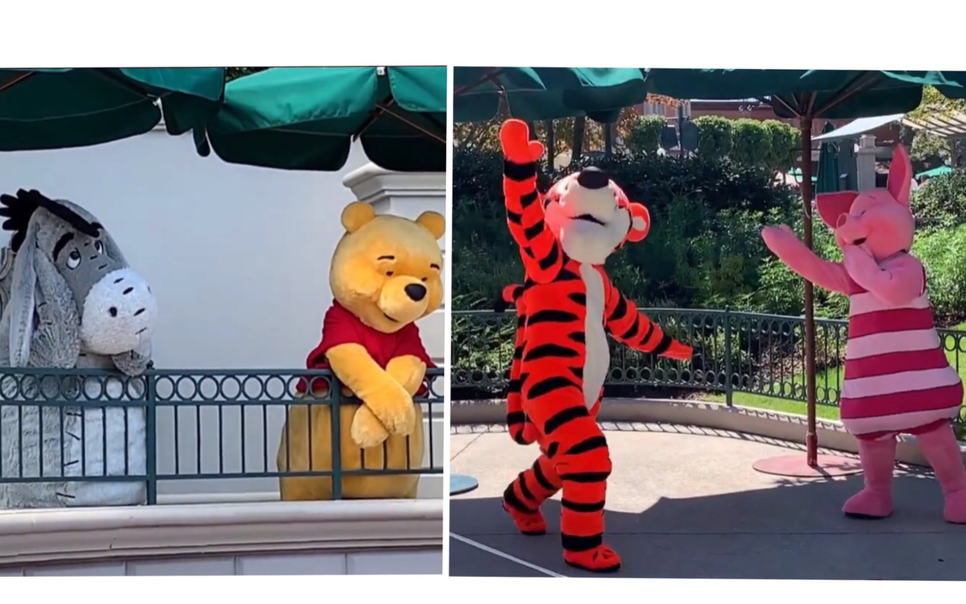 巴黎迪士尼噗噗屹耳跳跳虎和小猪可可爱爱的一天