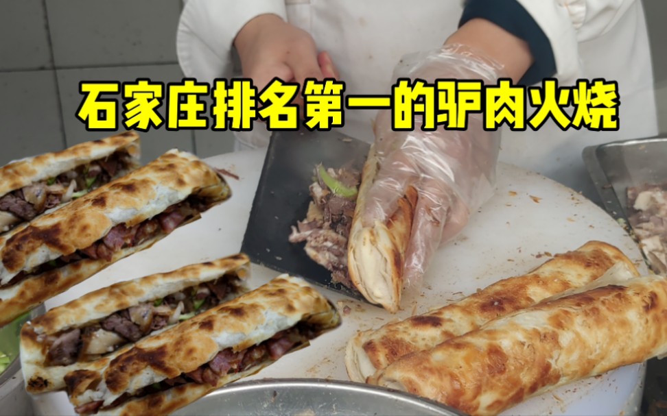 石家庄排名第一的驴肉火烧,一份最贵398,一到饭点食客络绎不绝哔哩哔哩bilibili