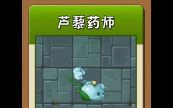 第23集丨手游《植物大战僵尸2》植物介绍:香水有毒芦藜药师#植物大战