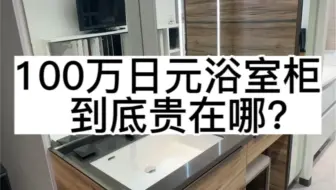 人民币五万的浴室柜长啥样？凭什么这么贵？