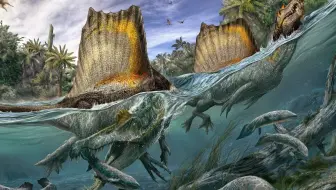 National Geographic Channel 恐龙霸主 棘龙 英语繁体字幕 哔哩哔哩 Bilibili