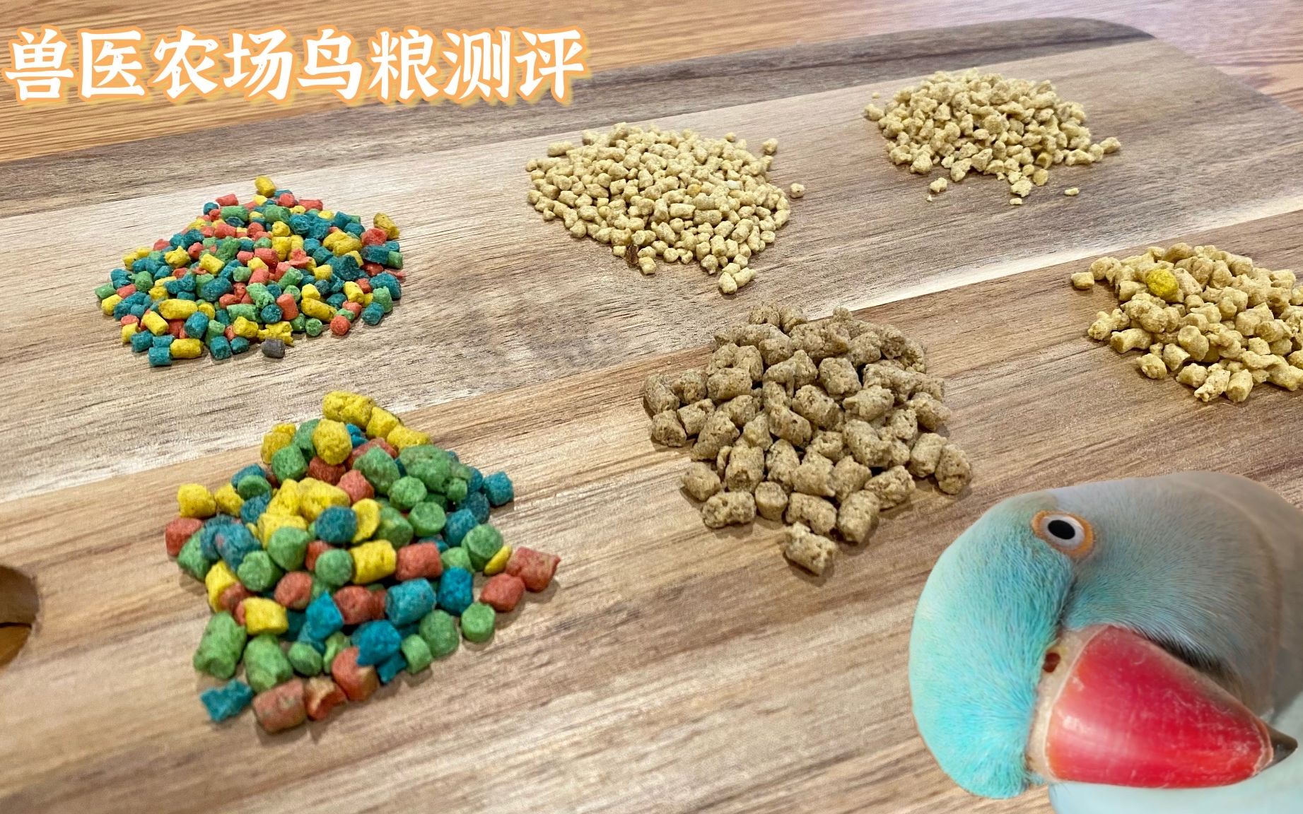 8款鸟粮深度测评~兽医农场滋养丸_哔哩哔哩_bilibili