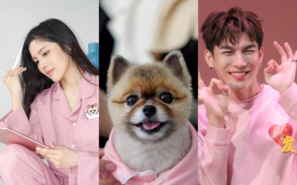 【mew】我才是家里的小宝贝(chopper是不是复胖了?