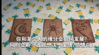 下载视频: 你和某个人的缘分会如何发展？何时会断？彼此想法（爱情/感情向）