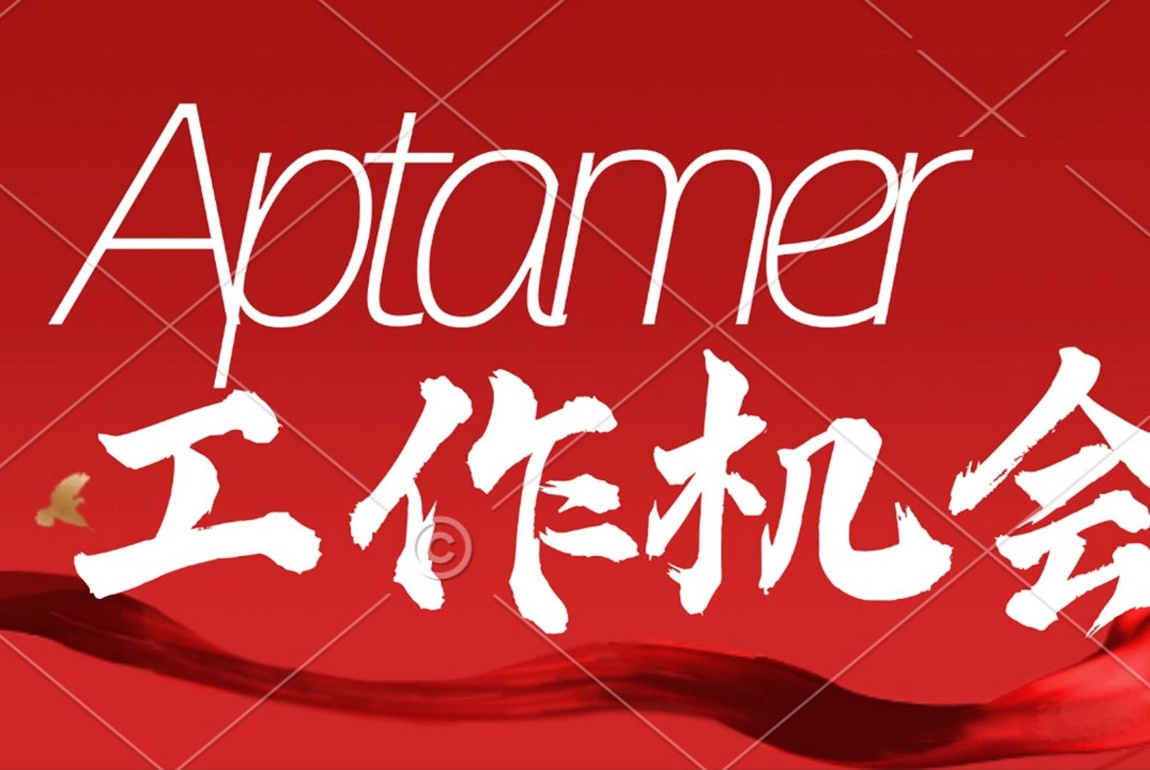 Aptamer相关工作机会核酸适配体 核酸适体 工作机会哔哩哔哩bilibili