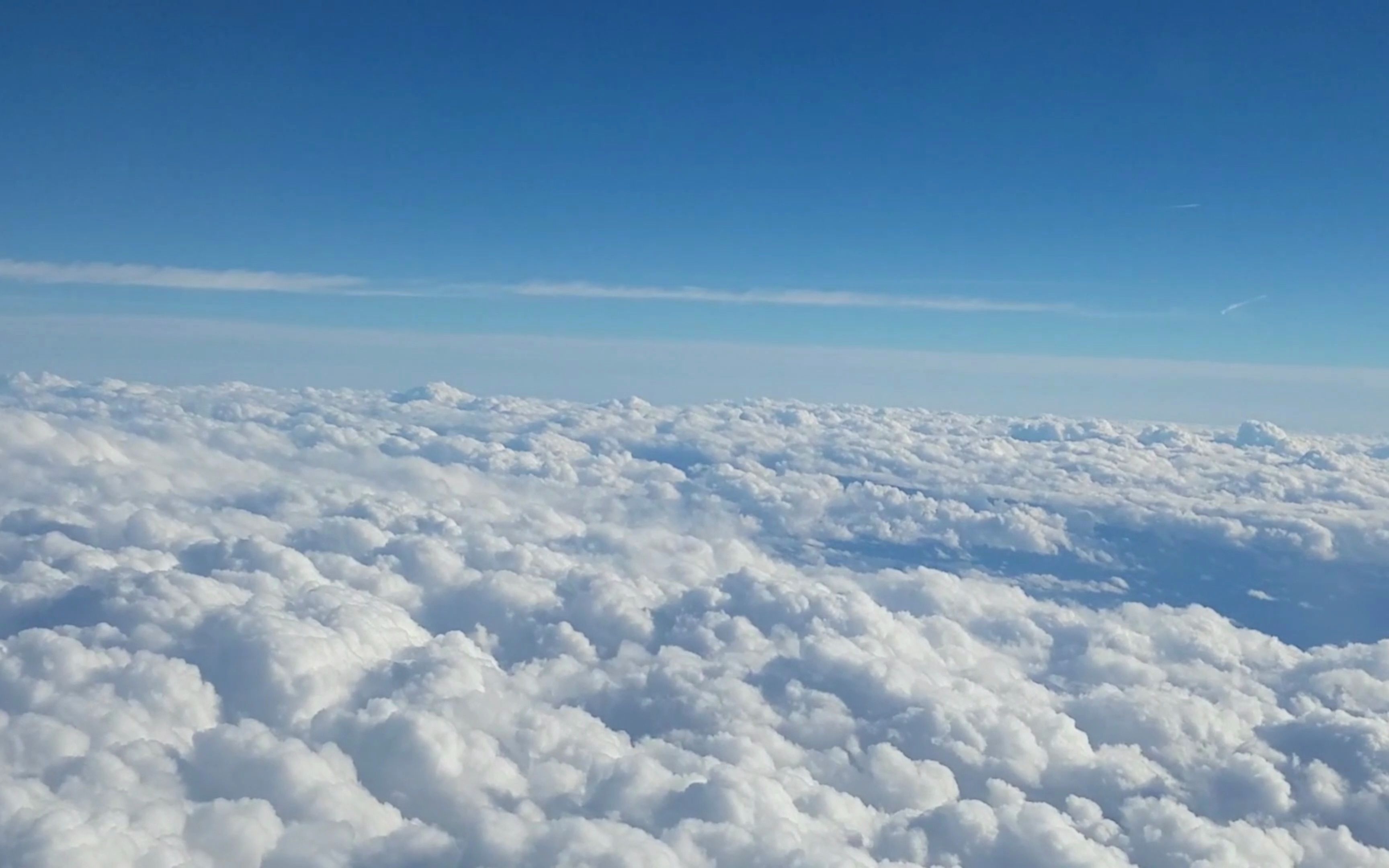 海鸟想把天空变成大海它们叼起浪花一片片放到天上结果却变成了皑皑