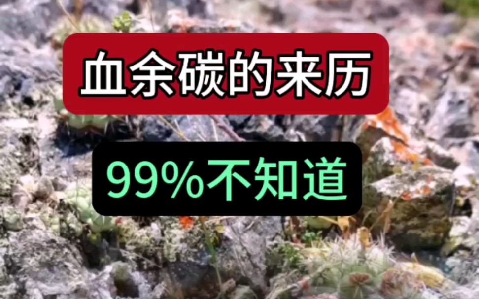 罕见的血余碳,千万别不认识, #三农 #野生中草药#识百草 #中草药 #中药材哔哩哔哩bilibili