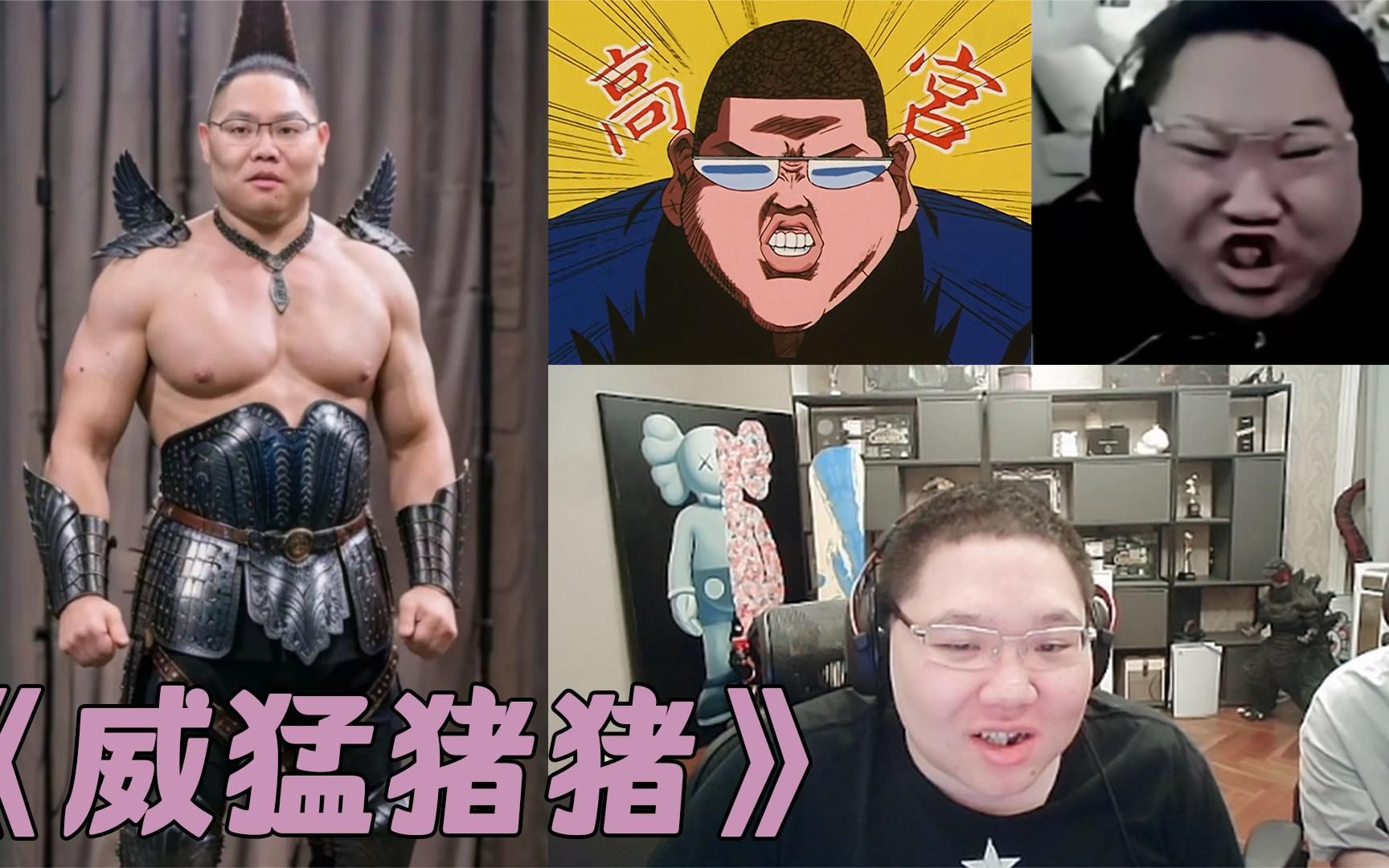 pdd被弹幕骗去看高宫望和威猛猪猪,你们这是什么意思嘛