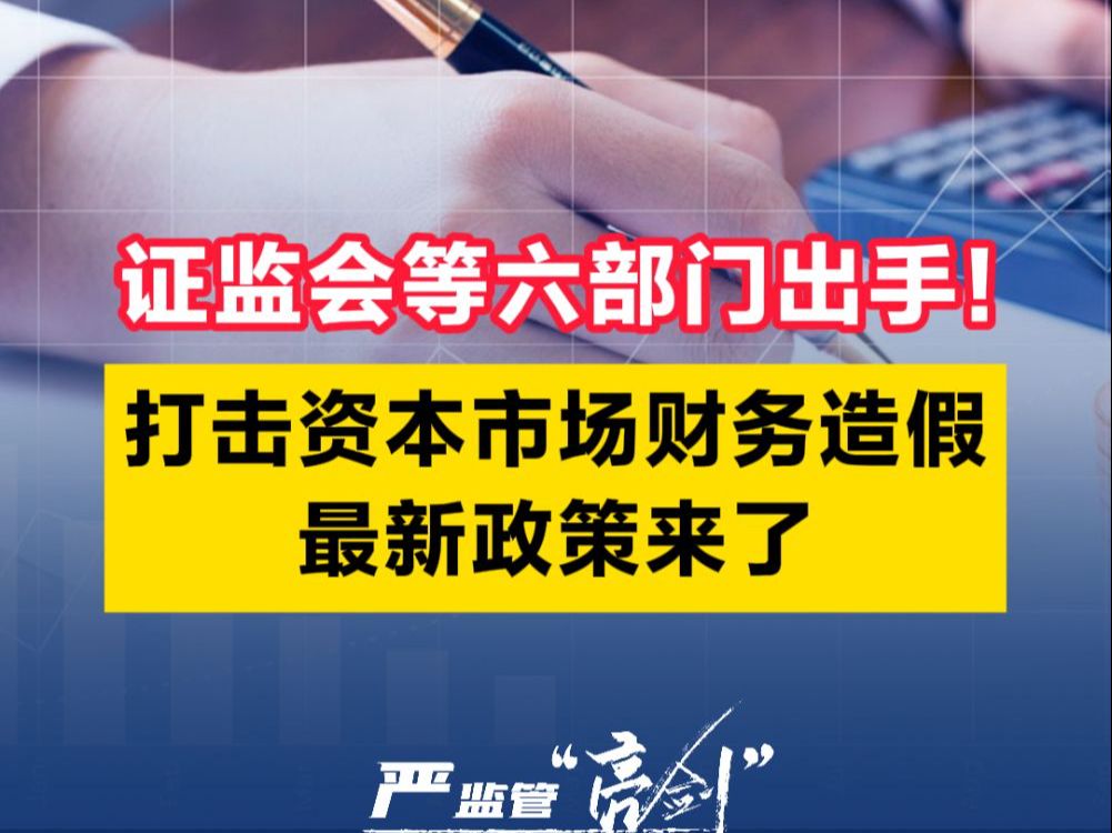 证监会等六部门出手!打击资本市场财务造假最新政策来了哔哩哔哩bilibili