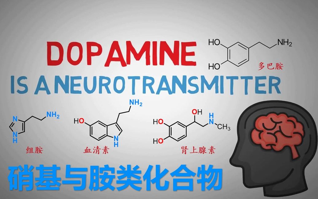 有机化学第十四章(上):硝基与胺类化合物哔哩哔哩bilibili