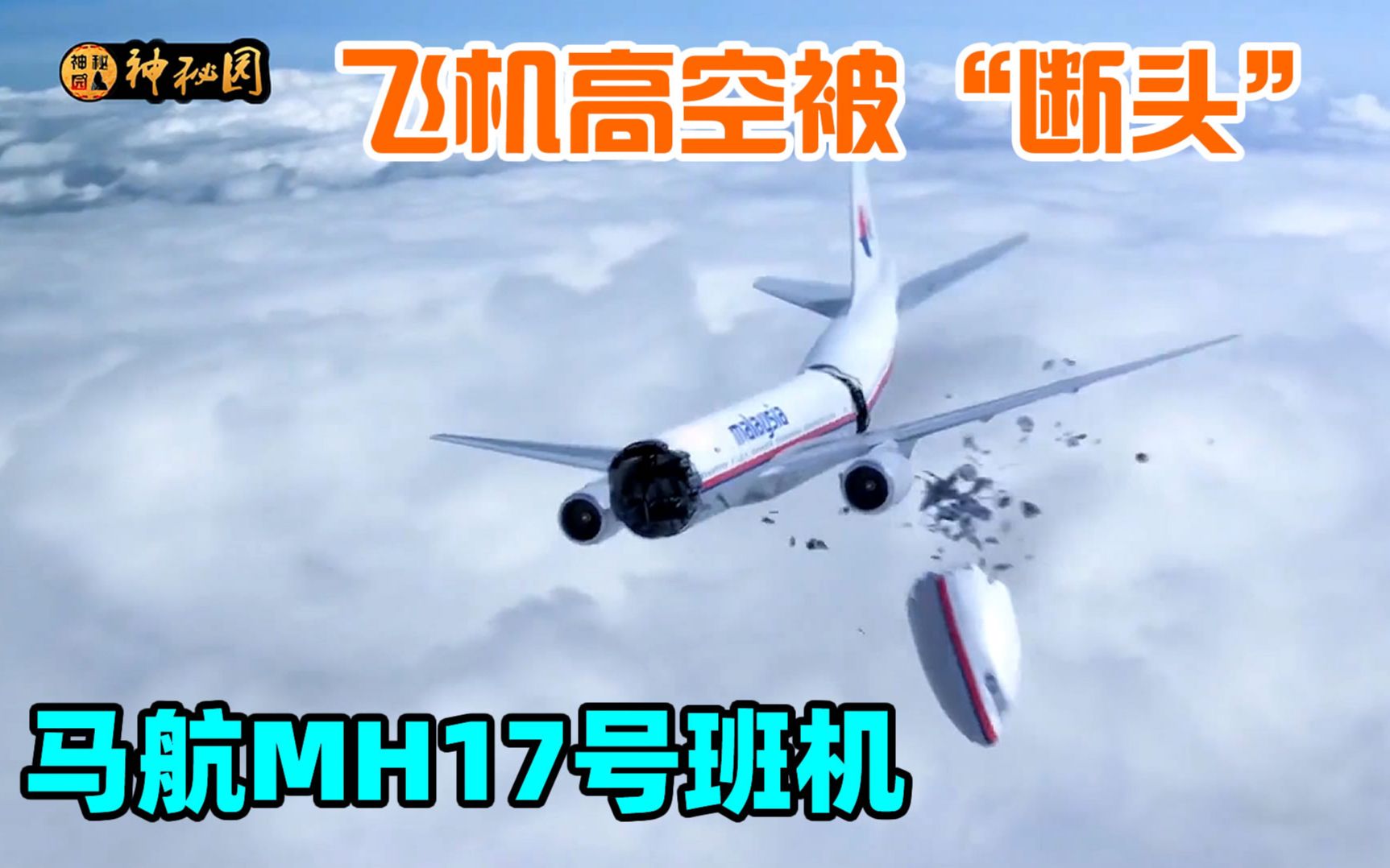 馬航mh17在空中解體,與馬航370空難事故僅隔4個月,《空中浩劫》