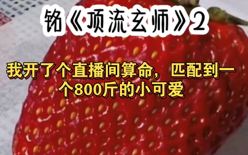 顶流玄师2:我开了个直播间算命,匹配到一个800斤的小可爱#小说#小说推荐哔哩哔哩bilibili