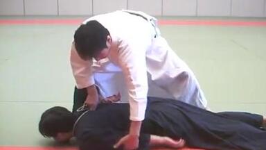黒田鉄山　Internal Training for Bujutsu 1 & 2 黒田鉄山 Internal Training for Bujutsu 1 & 2 黒田鉄山 Internal