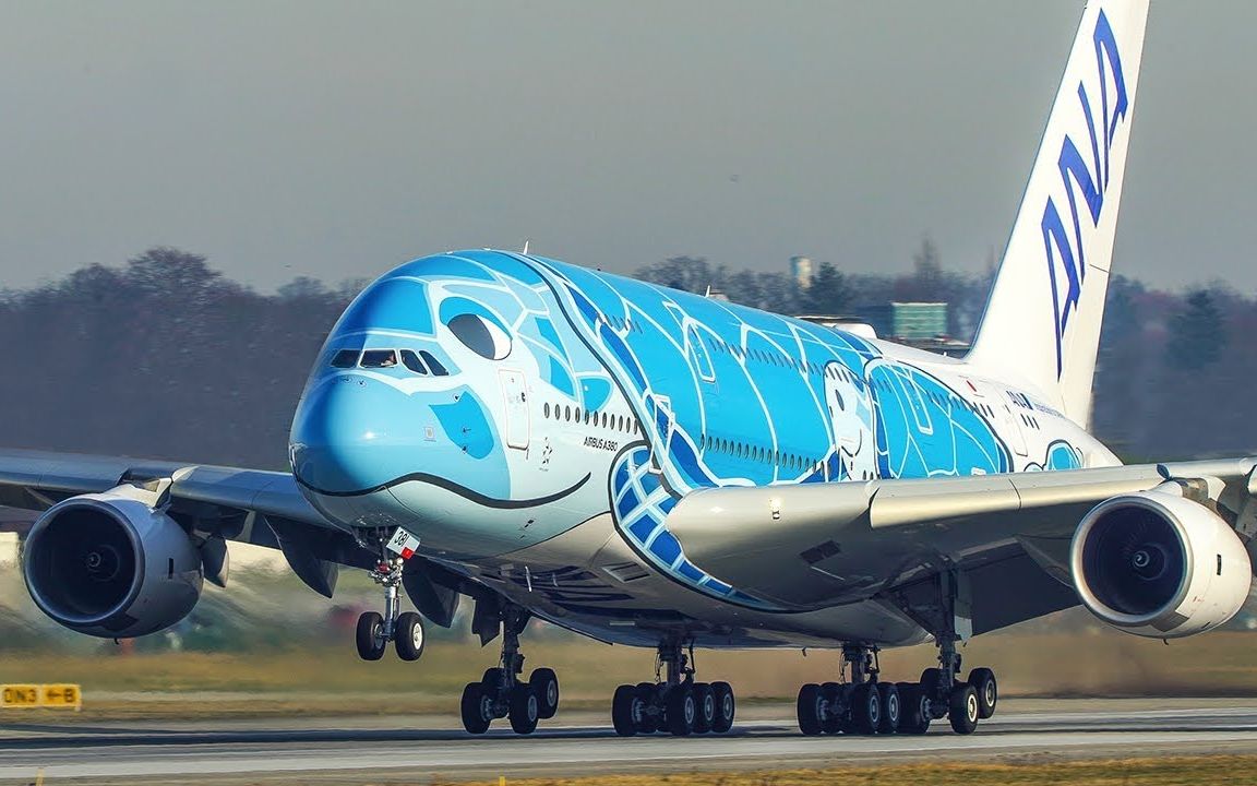 全日空首架a380客机首飞成功特别彩绘翱翔的绿海龟萌萌哒