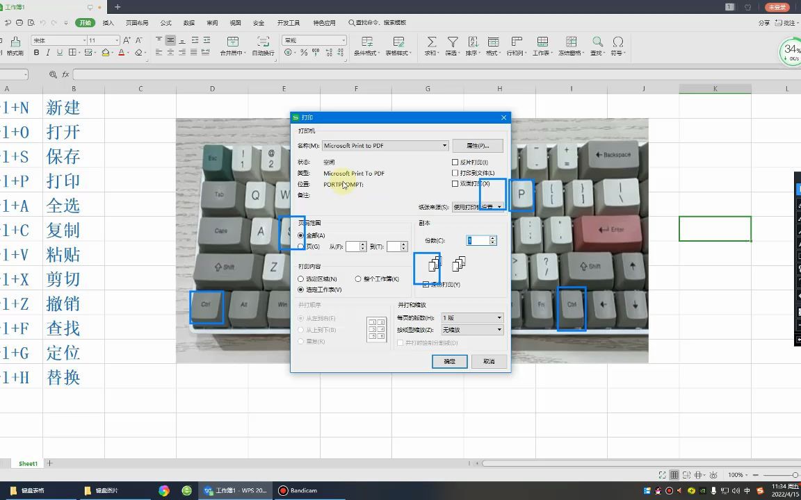 零基础学电脑办公软件,初识电脑键盘使用wps/office/Excel表格哔哩哔哩bilibili