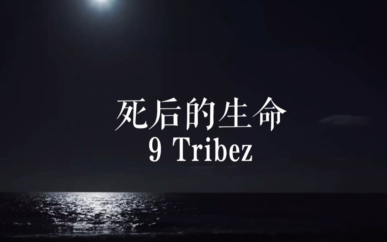 [图]死后的生命（第一版）来自 9Tribez 质量Level真的不要太高，这段声音将是我死后的生命。