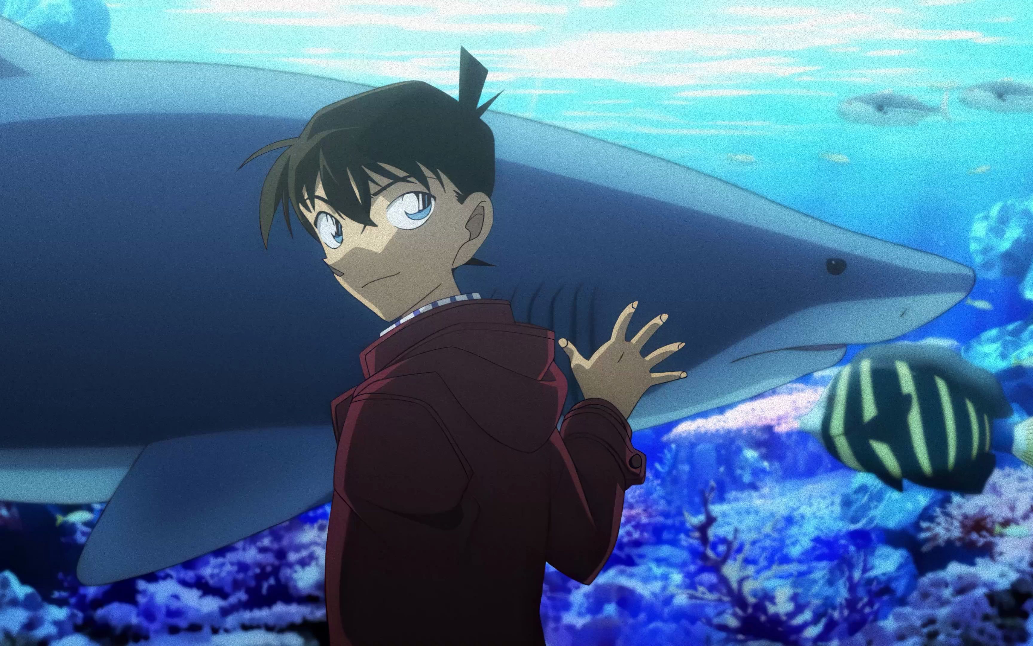 【4k超清典藏】zard 转动命运之轮 - 柯南op风格 - 油管翻弹伴奏 up主