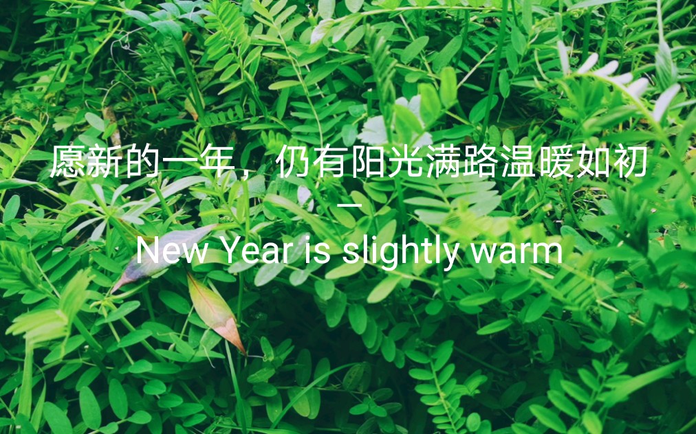 活动作品愿新的一年仍有阳光满路温暖如初