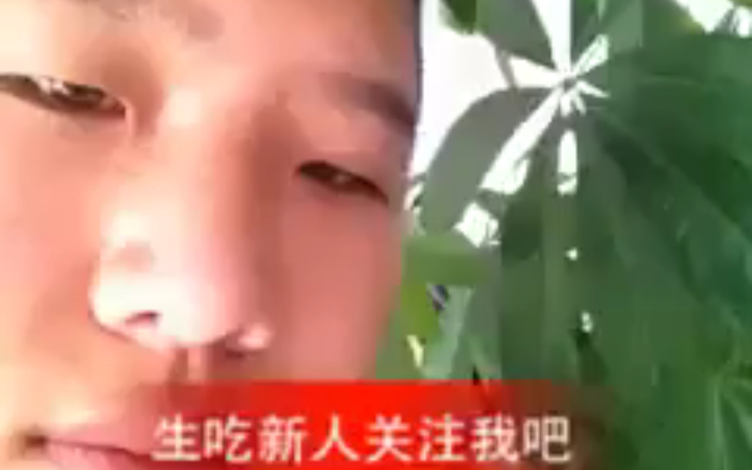 财犬吃草哔哩哔哩bilibili