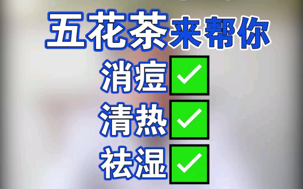 清热祛湿消痘,一种茶解决三大难题哔哩哔哩bilibili