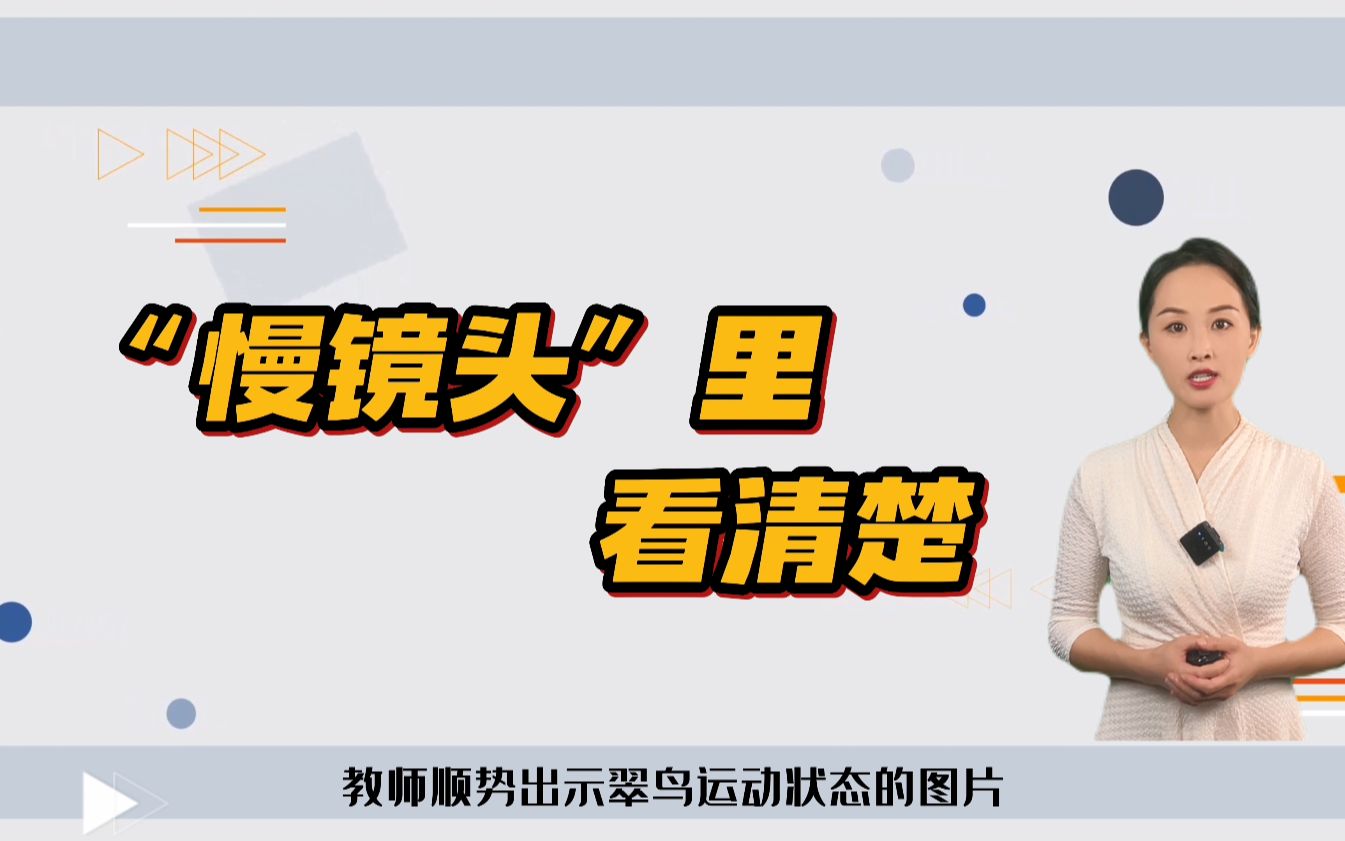 [图]统编版小学语文三年级上册《搭船的鸟》说课（2022东莞市教学资源建设活动）