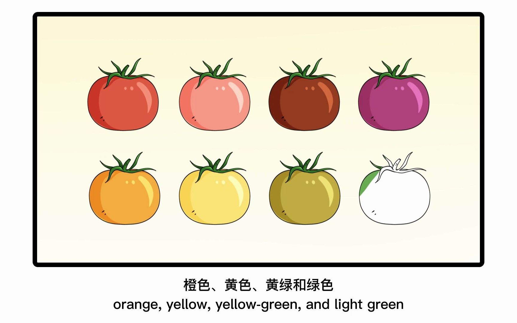 [图]#园艺研究 多重基因编辑实现番茄多种果色的快速同步定制