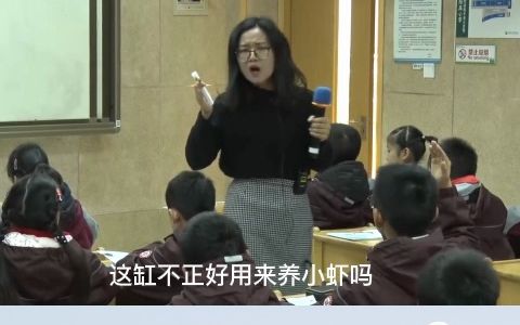 小学语文名师优质公开课三年级下册《小虾》教学视频哔哩哔哩bilibili