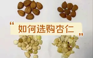 下载视频: 中草药质量辨别之杏仁