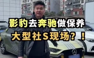 影豹去奔驰做保养