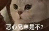 猎聘到底给了多少钱?哔哩哔哩bilibili