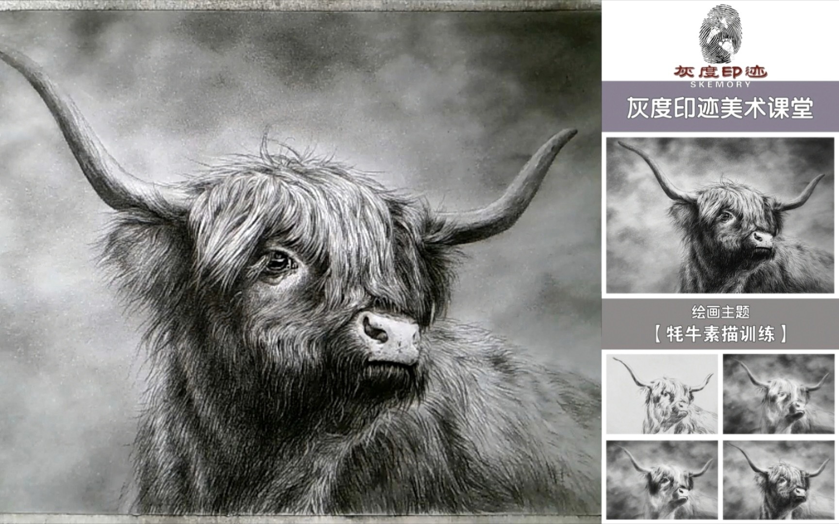 素描动物—耐寒的牦牛